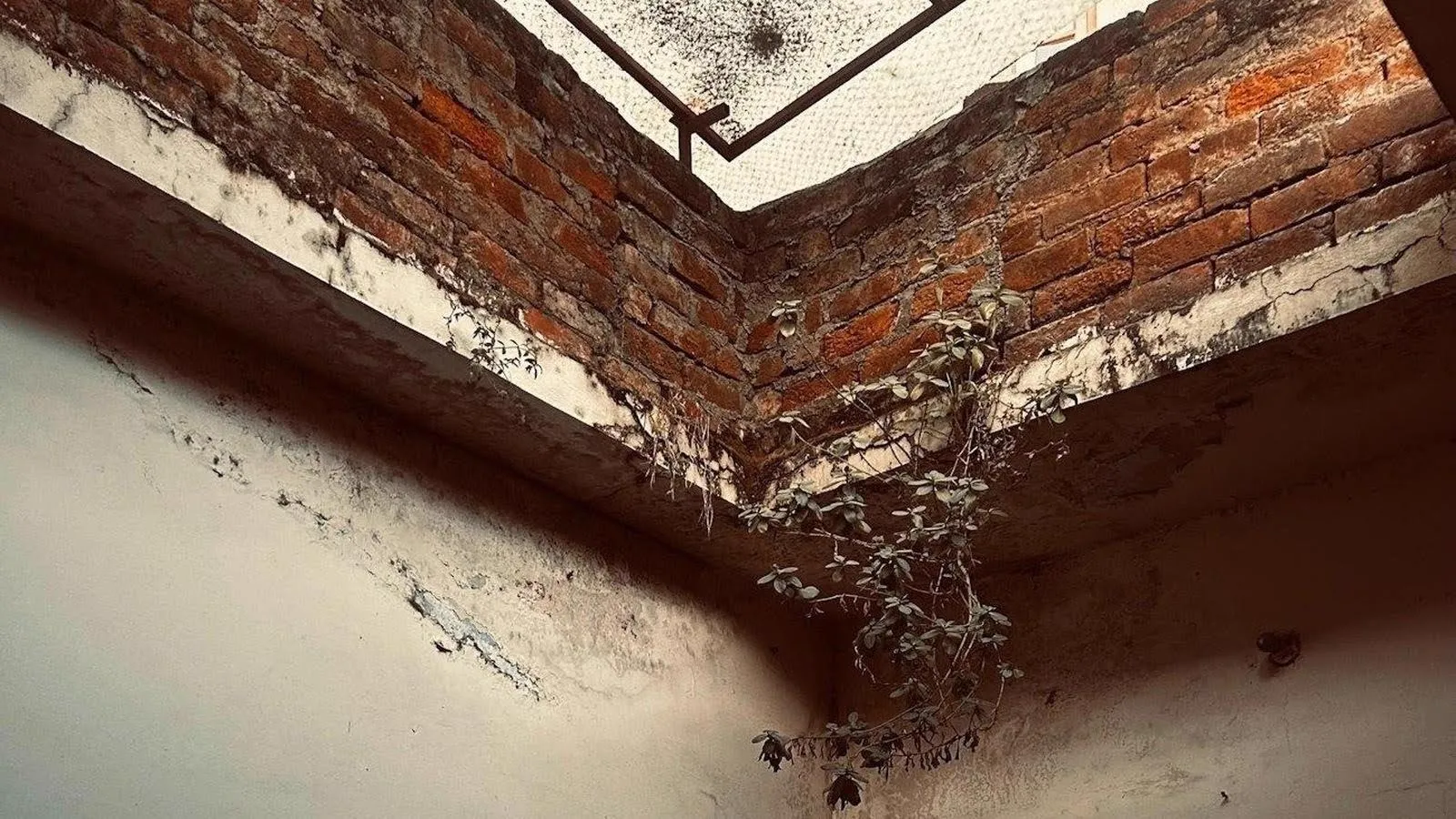 Damaged plaster and exposed brick in an interior corner.